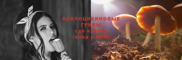 бошки Абинск