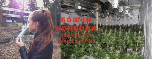 бошки Абинск