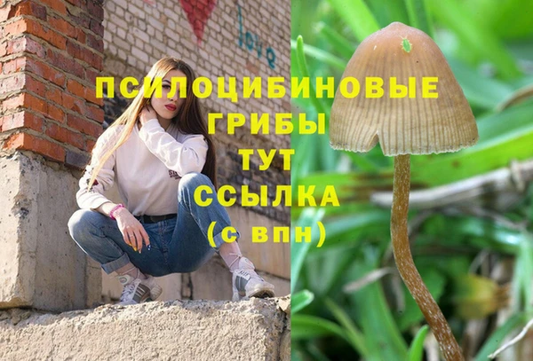 крисы Сафоново
