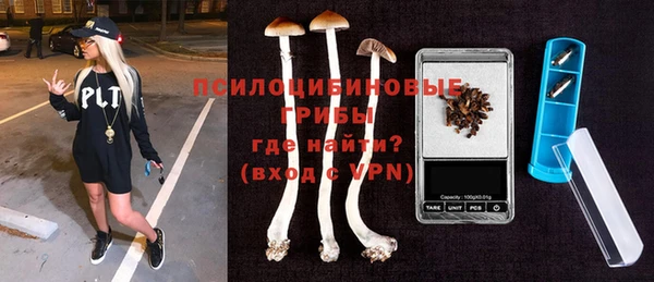 эйфоретик Алексин
