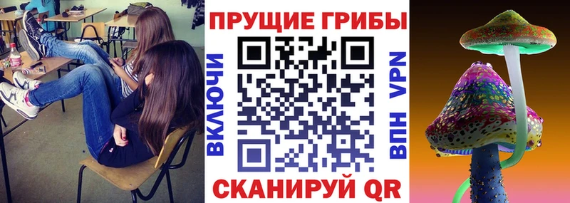 Псилоцибиновые грибы Psilocybine cubensis  сайты даркнета Telegram  Гагарин 